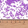 Baking Paint Glass Seed Beads X-SEED-S042-05B-72-4