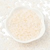 Frosted Glass Beads X1-FGLA-D300-01L-2