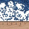 Baking Paint Glass Seed Beads SEED-S042-05B-75-4