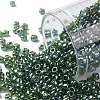 TOHO 8/0 Round Beads SEED-JPTR08-0119-1