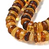 Natural Amber Beads Strands G-K387-C01-01-3