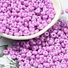 Baking Paint Luster Glass Seed Beads SEED-B001-04A-07-1