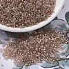 MIYUKI Delica Beads SEED-X0054-DB2373-1