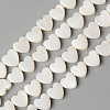 Natural Freshwater Shell Beads Strands X-SHEL-N026-71-1