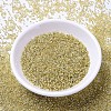 MIYUKI Delica Beads SEED-J020-DB1212-2