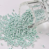 11/0 FGB Grade A Round Glass Seed Beads SEED-N001-B-0487-1