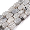 Natural Labradorite Beads Strands G-T138-85-4