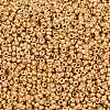 MIYUKI Round Rocailles Beads X-SEED-G009-RR4202-3
