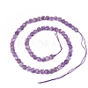 Natural Amethyst Beads Strands G-I271-A01-6x6mm-2