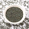 MIYUKI Delica Beads SEED-MY11-DB0024-2