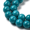 Natural Howlite Beads Strands G-B049-E01-01B-4