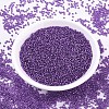 MIYUKI Round Rocailles Beads X-SEED-G007-RR1345-2