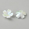 Acrylic Imitation Shell Bead Caps SACR-WH0008-034A-2