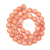 Natural Mashan Jade Beads Strands DJAD-12D-18-2-3