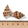 Natural Spiral Shell Pendants SHEL-K009-17C-3