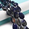 Natural Sodalite Beads Strands G-P528-L02-01-2