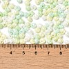 6/0 Glass Seed Beads X1-SEED-M012-01A-04-4