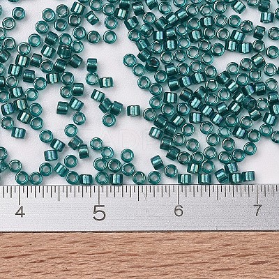 MIYUKI Delica Beads SEED-X0054-DB1769-1