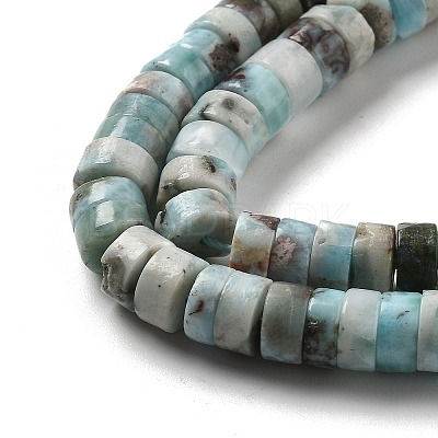 Natural Larimar Beads Strands G-Q024-B03-04-1