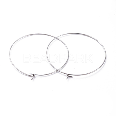 316 Surgical Stainless Steel Hoop Earring Findings X-STAS-J025-01F-P-1