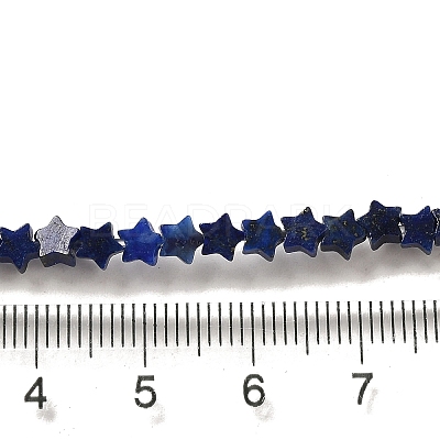 Natural Lapis Lazuli Beads Strands G-G085-B02-01-1