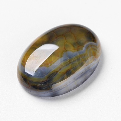 Natural Dragon Veins Cabochons X-G-F296-05-18x25mm-1