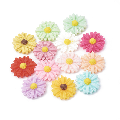 Resin Cabochons CRES-N007-10-1