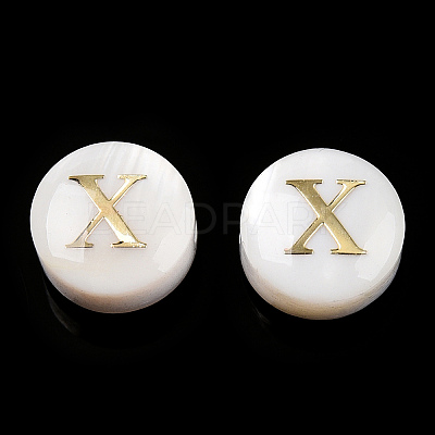 Natural Freshwater Shell Beads SHEL-N036-01X-1