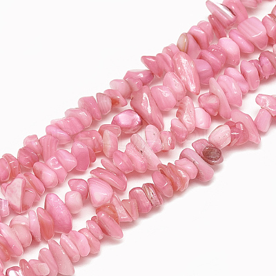 Freshwater Shell Beads Strands SHEL-S270-05-1