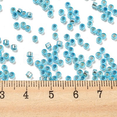 Glass Seed Beads X1-SEED-S042-04A-13-1