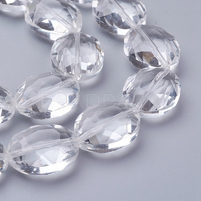 Glass Bead Strands GLAA-R196-20x16mm-01-1