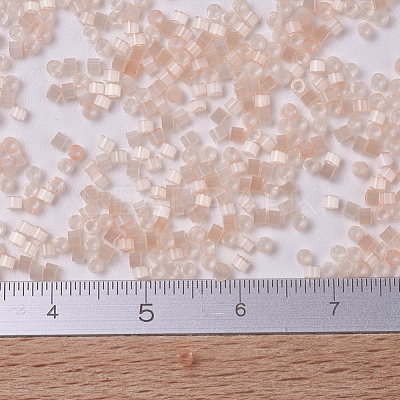 MIYUKI Delica Beads SEED-JP0008-DB0824-1