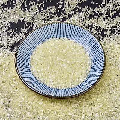 MIYUKI Delica Beads SEED-J020-DB0823-1