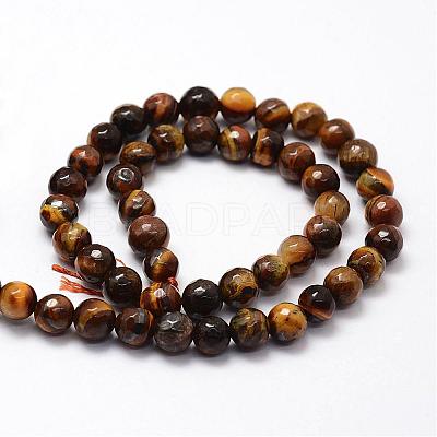 Faceted Natural Tiger Eye Beads Strands G-F364-04-8mm-1