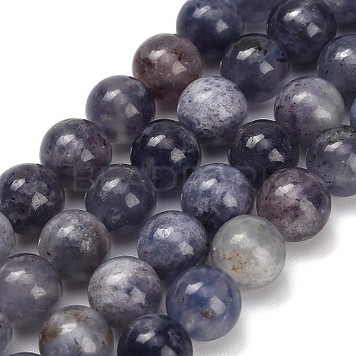 Natural Iolite Beads Strands X-G-G300-A04-8mm-1