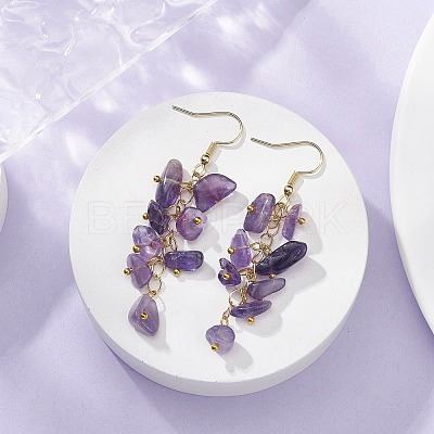 Natural Amethyst Chips Dangle Earrings EJEW-JE05266-01-1