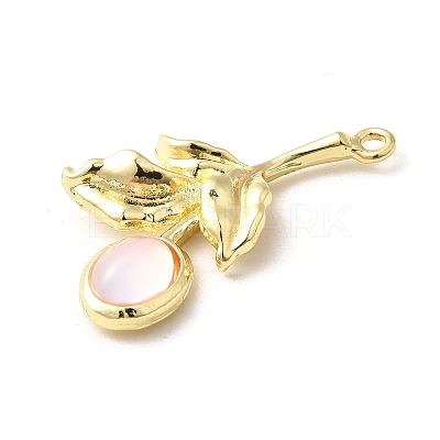 Glass Pendants FIND-H015-01G-02-1