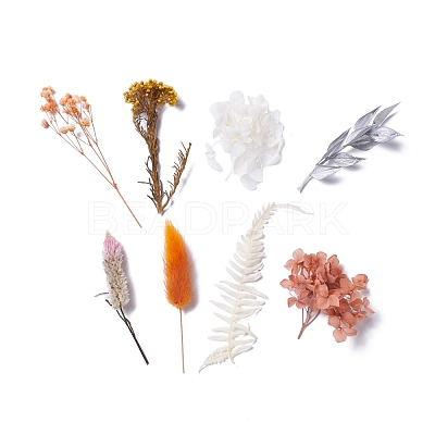 Dried Flowers DIY-D052-24-1
