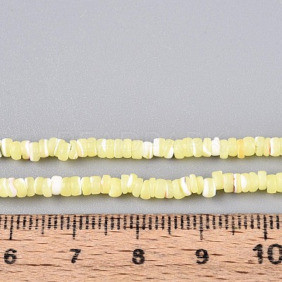 Natural Trochid Shell/Trochus Shell Beads Strands SSHEL-N040-21G-1