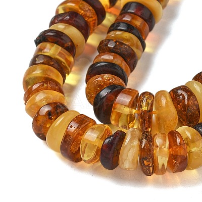 Natural Amber Beads Strands G-K387-C01-01-1