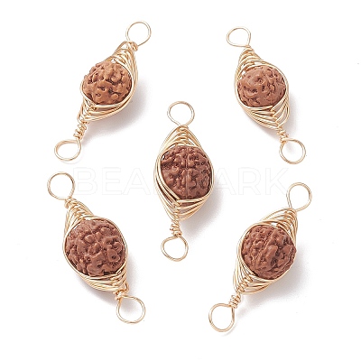 Natural Rudraksha Copper Wire Wrapped Connector Charms PALLOY-JF02067-01-1