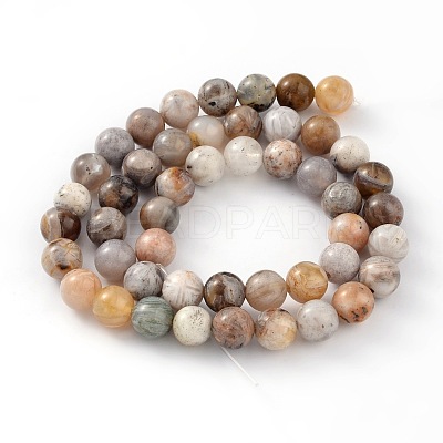 Natural Bamboo Leaf Agate Round Bead Strands G-M248-10mm-04-1