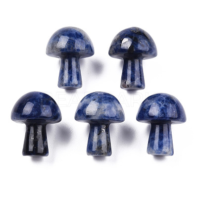 Natural Sodalite GuaSha Stone G-N0325-02V-1