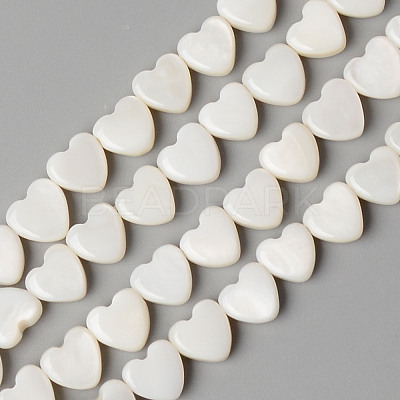 Natural Freshwater Shell Beads Strands X-SHEL-N026-71-1