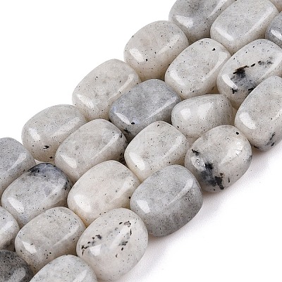 Natural Labradorite Beads Strands G-T138-85-1