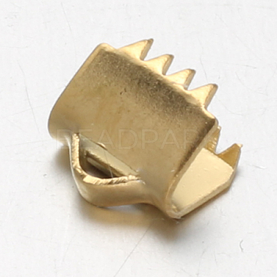 Ion Plating(IP) 304 Stainless Steel Ribbon Clamp Ends X-STAS-F094-18-1