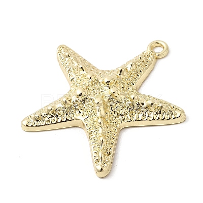 Alloy Big Pendants X-FIND-H055-13G-1
