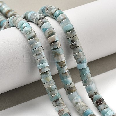 Natural Larimar Beads Strands G-Q024-B03-04-1