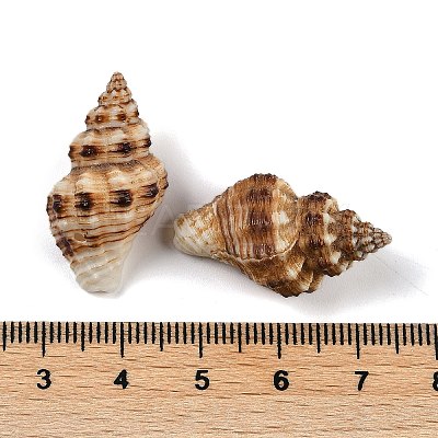 Natural Spiral Shell Pendants SHEL-K009-17C-1