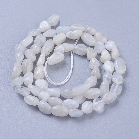 Natural White Moonstone Beads Strands X-G-P433-16-1